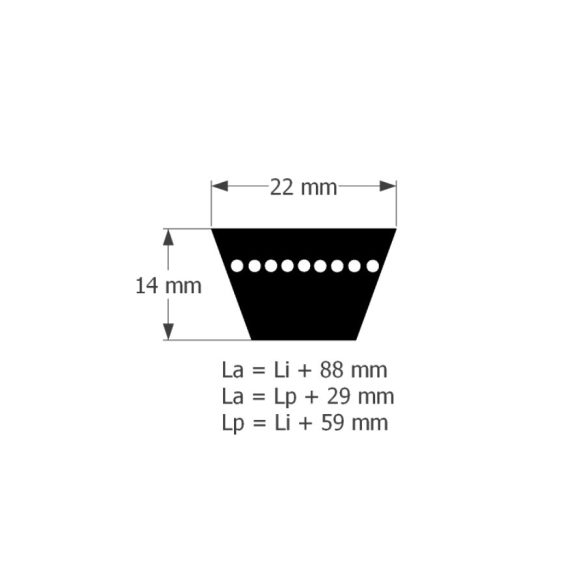 *22X1390LI/1449LP MUSTANG Ékszíj